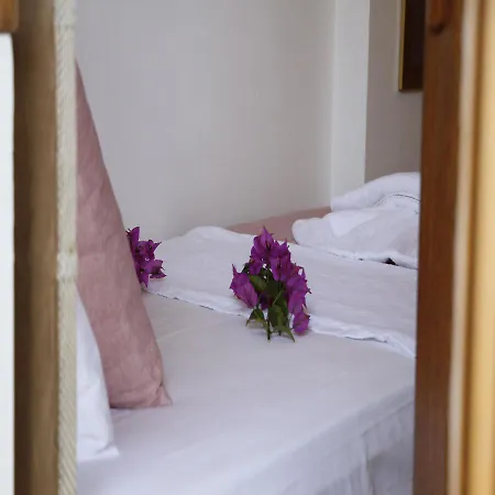 Limon 2 アクヤカ