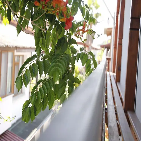 ホテル Limon 2 アクヤカ