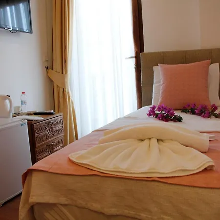 ホテル Limon Otel Pansiyon 2 *