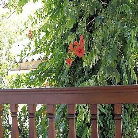 Limon 2 호텔 아키아카
