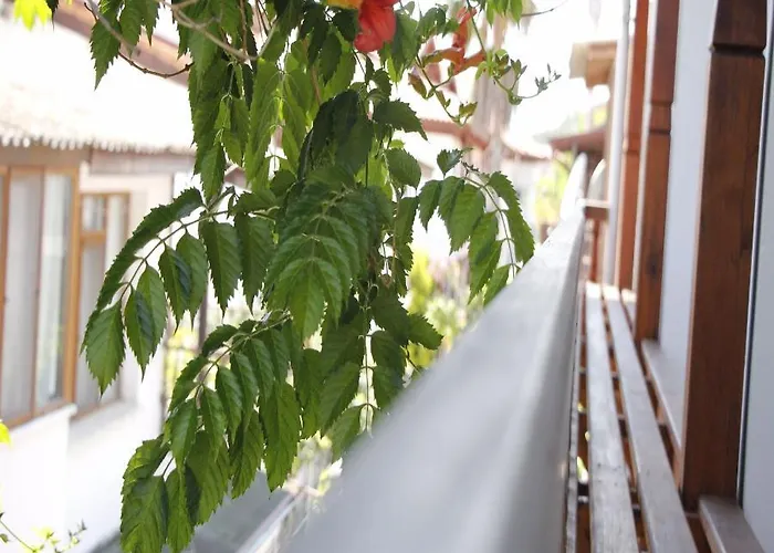 Otel Limon 2 Akyaka (Mugla)